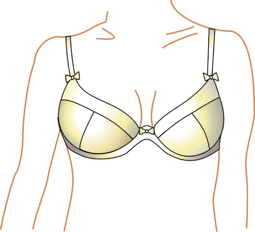 File:Plungebra.jpg