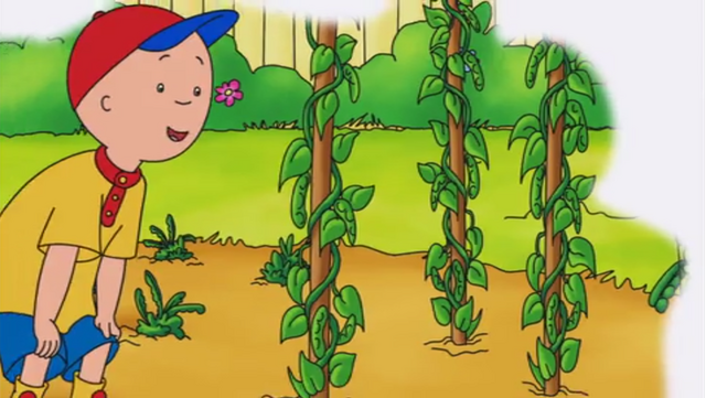 File:Caillou Screenshot 2015-06-01-17-55-28.png
