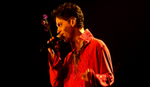 Rotterdam2011 1.png