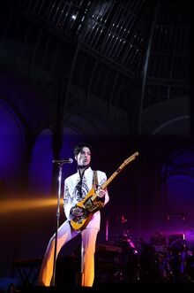2009 grandpalais1.jpg