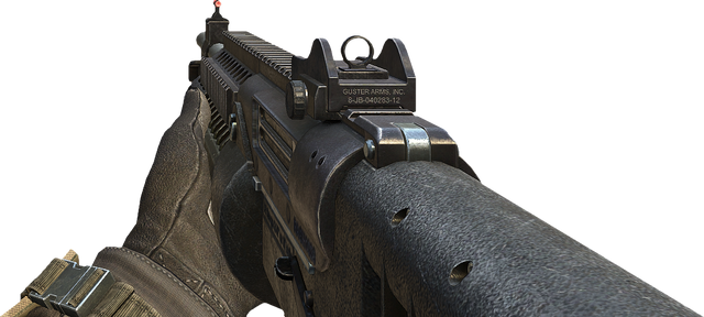 File:M1216 BOII.png