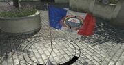 GIGN flag.jpg