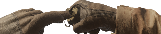 File:Smoke Grenade Prime MWR.png
