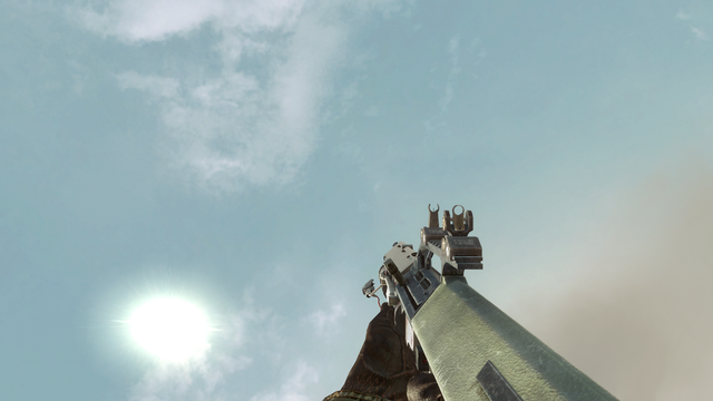 File:AUG Flamethrower BO.png