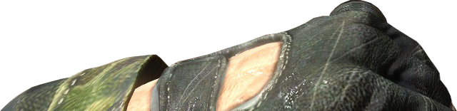 File:Flashlight Close-Up BO.png