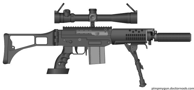 File:PMG PSR.jpg
