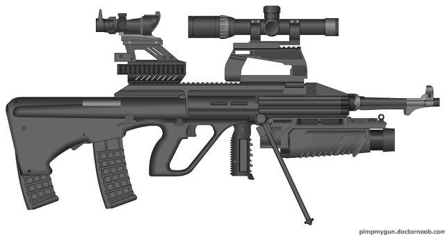 File:PMG Pimped AUG 2.jpg