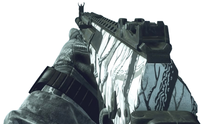 File:AK-12 Snow CoDG.png