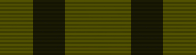 File:Medal, Content Offensive.png