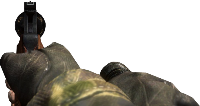 File:Python with Flashlight ADS BO.png