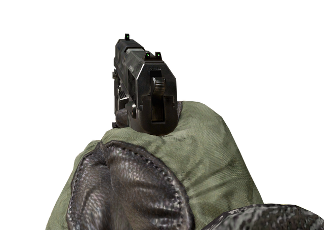 File:USP.45 MW2.png
