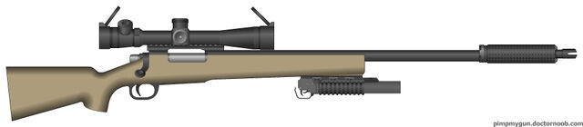 File:PMG Intervention rfg.jpg
