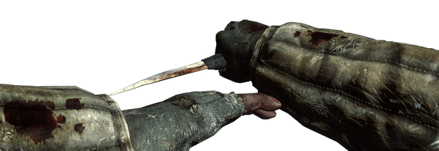 File:Prison Knife Dive.png