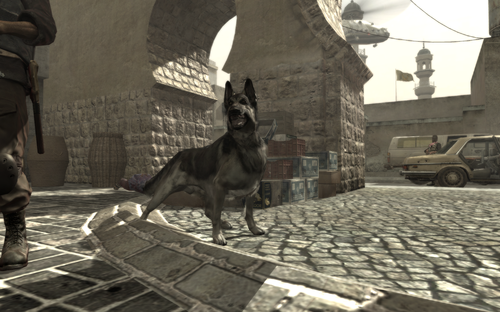 Dog (animal) | Call of Duty Wiki | FANDOM powered by Wikia