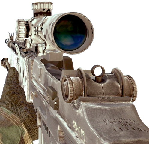 File:M14 EBR Arctic MW2.png