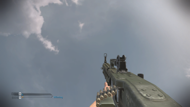File:Ameli Shotgun CoDG.png