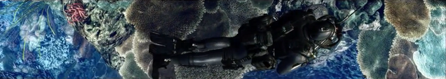 File:Swimming Into the Deep CODG.png