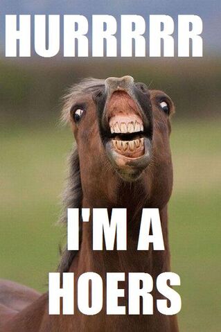 File:Im a horse.jpg