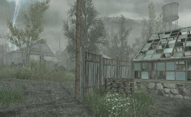 File:Greenhouse Downpour CoD4.jpg