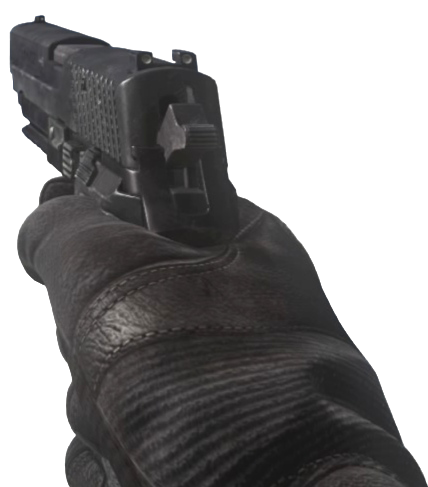 File:P226 CoDG.png
