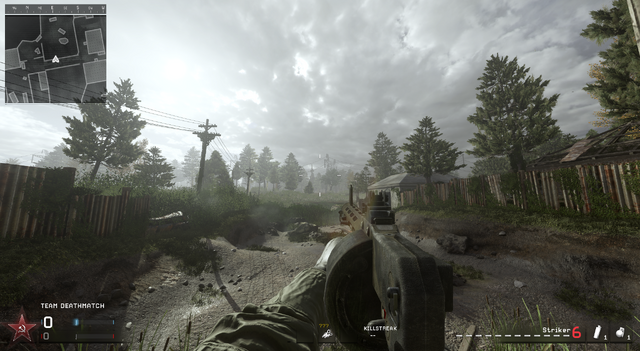 File:Striker MWR.png
