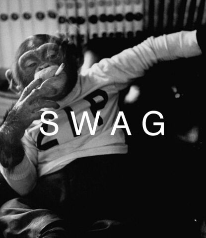 File:Swag1.jpg
