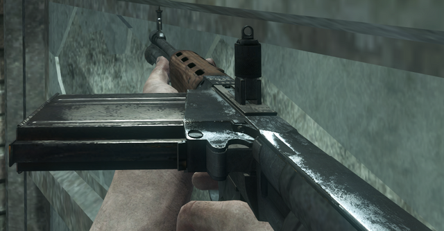 File:FG42 BO.png