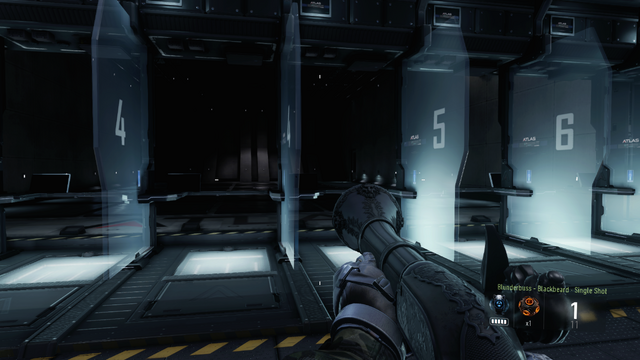 File:Blunderbuss Blackbeard AW.png