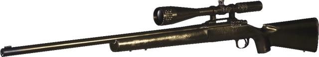 File:R700 Gold MWR.png