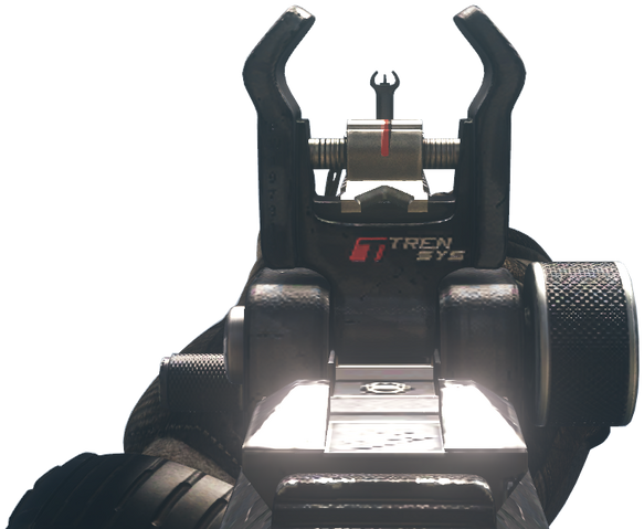 File:Maverick iron sights CoDG.png