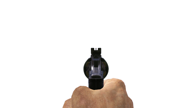 File:44 Magnum ADS CoDO.png