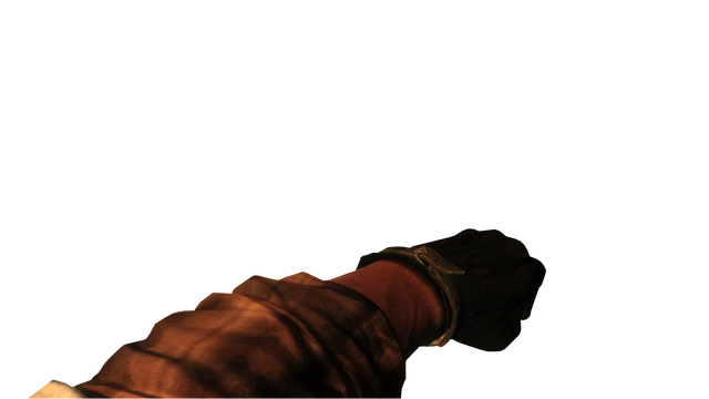 File:Punch Hands BO.png