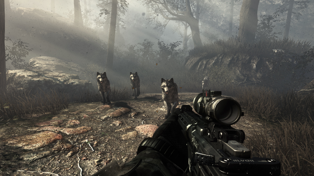 File:Wolves No Man's Land CoDG.png