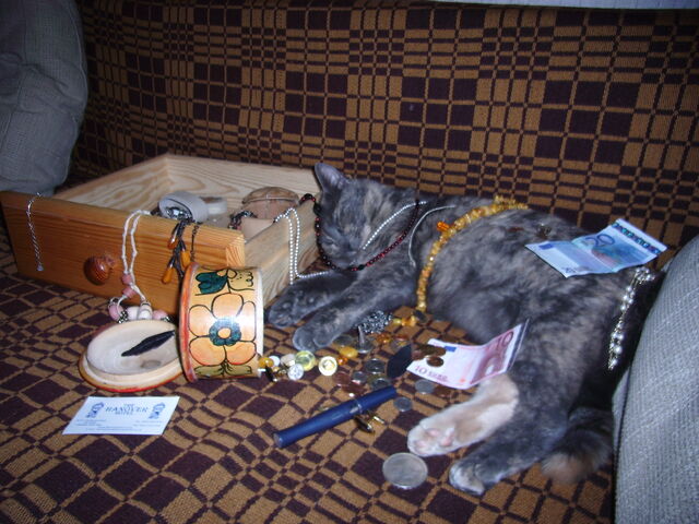File:Cat with jewelry.jpg