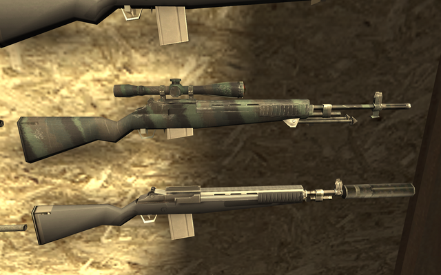 File:M21 woodland FNG COD4.png