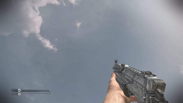 File:Bizon Snow CoDG.png