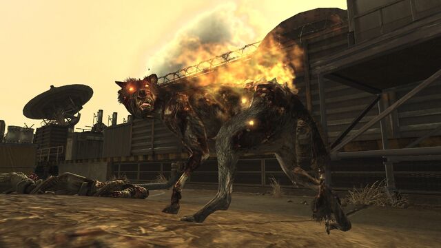 Αρχείο:Hellhound Hd.jpg