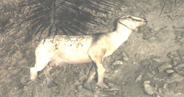 File:Dead Goat Village MW3.jpg
