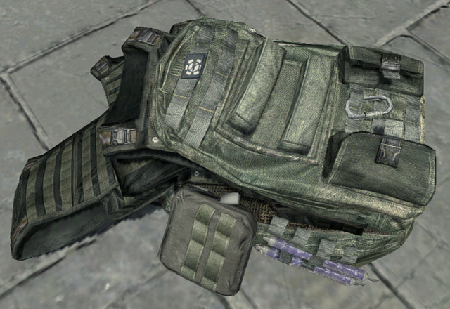 File:Ballistic-Vest-Deployed MW3.png