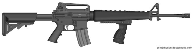 File:Raptor's M16A1.jpg