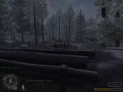 Tiger ambush