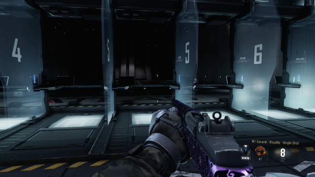 File:M1 Garand Royalty AW.png