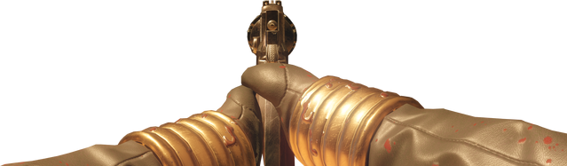 File:Bloodhound Iron Sights BO3.png