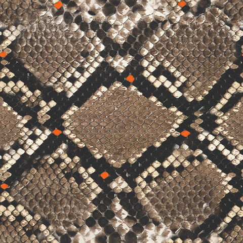 File:Viper Camouflage texture BOII.png