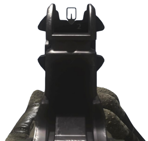 File:Ameli iron sights CoDG.png