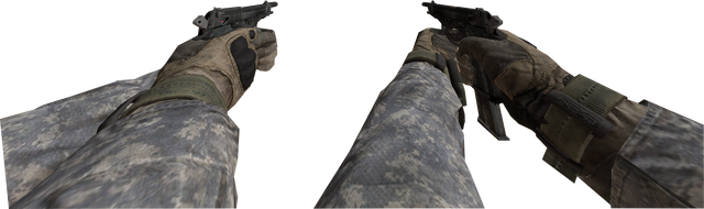 File:Akimbo Raffica MW2.png
