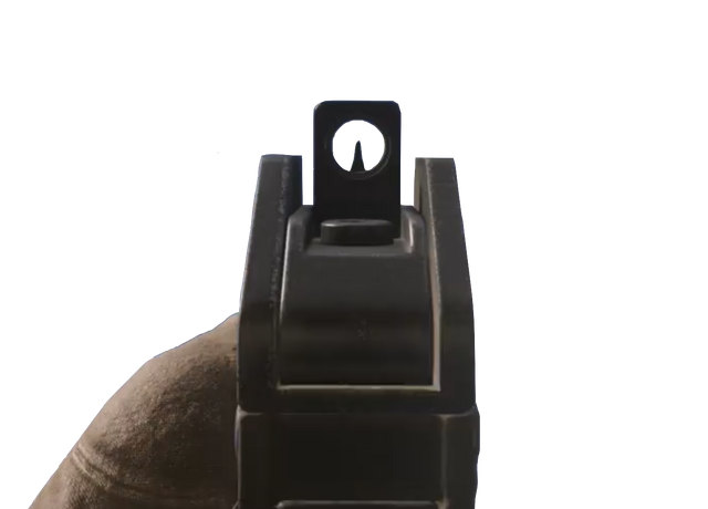 File:G36C Sights MWR.png
