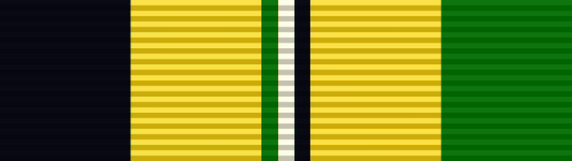 File:Medal, Antivandalism Work.png