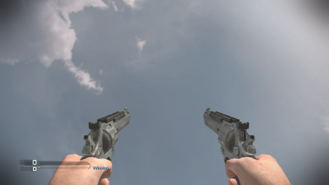 File:.44 Magnum Akimbo CoDG.png