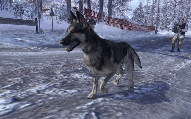 File:Dog Contingency MW2.png